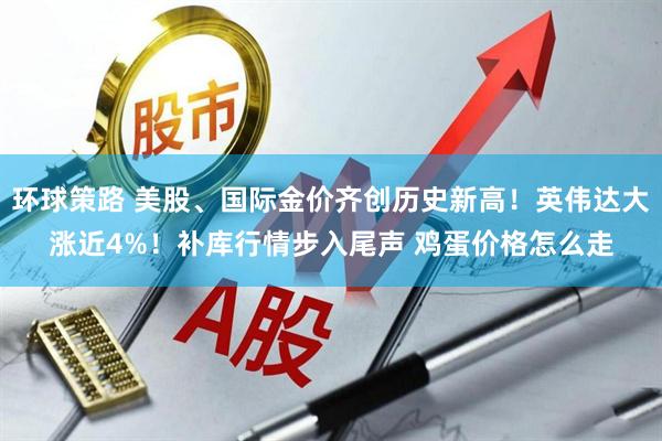 环球策路 美股、国际金价齐创历史新高！英伟达大涨近4%！补库行情步入尾声 鸡蛋价格怎么走