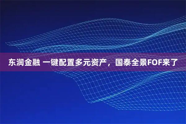 东润金融 一键配置多元资产,国泰全景FOF来了