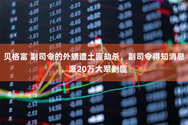 贝格富 副司令的外甥遭土匪劫杀,副司令得知消息,派20万大军剿匪