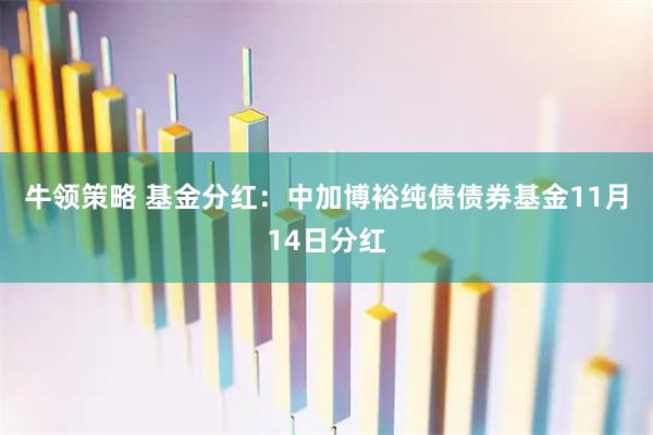 牛领策略 基金分红:中加博裕纯债债券基金11月14日分红